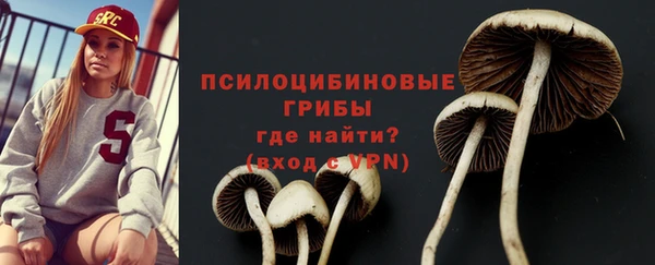 каннабис Майский